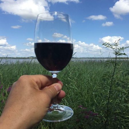 Moulis-en-Médoc Domaine De Giron Bed & Breakfast エクステリア 写真