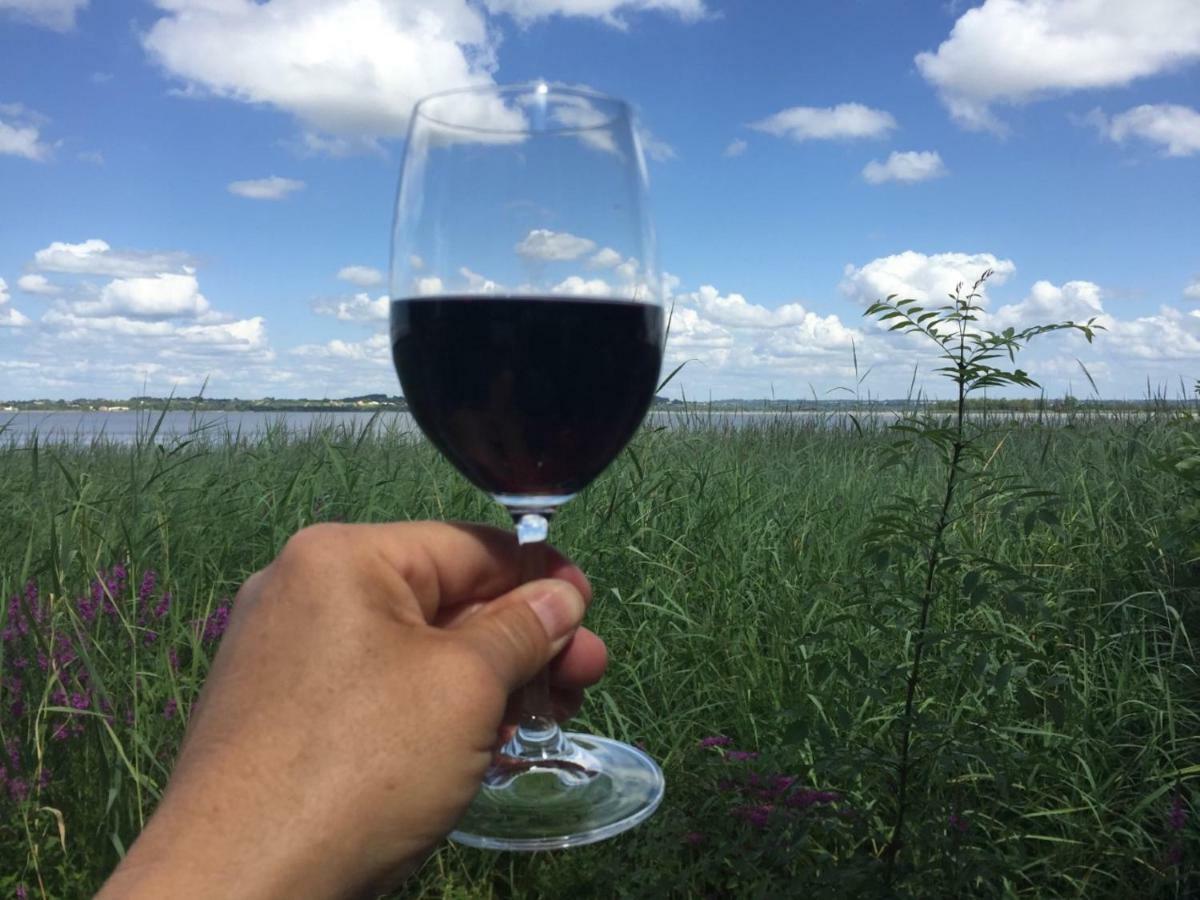 Moulis-en-Médoc Domaine De Giron Bed & Breakfast エクステリア 写真